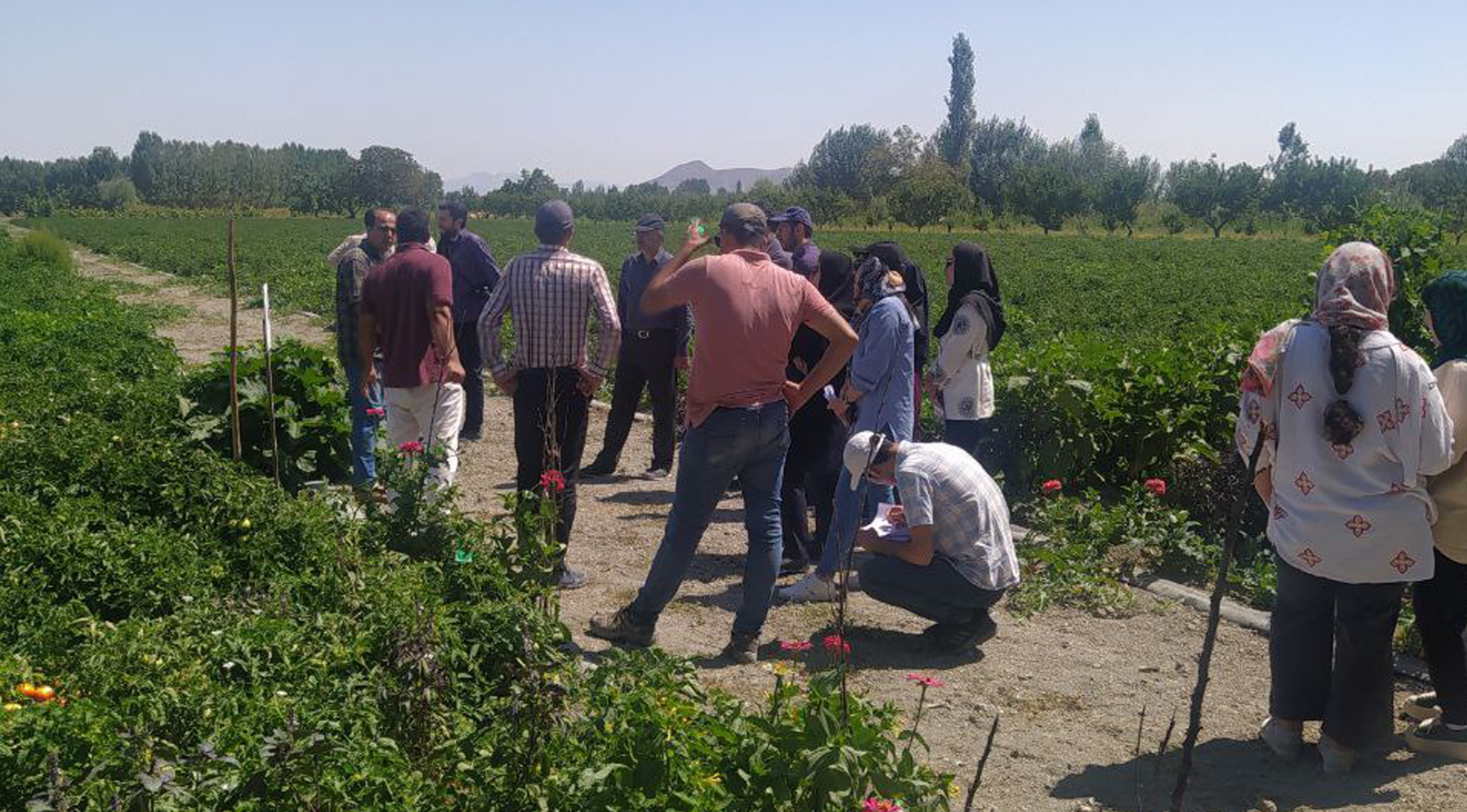 به اشتراک گذاری تجارب  استقرار کشاورزی پایدار با  نخبگان آذربایجان غربی 